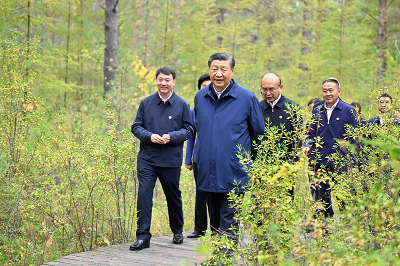 9月6日至8日，中共中央總書記、國家主席、中央軍委主席習(xí)近平在黑龍江考察。這是6日下午，習(xí)近平在大興安嶺地區(qū)漠河市漠河林場自然林區(qū)考察